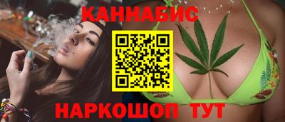 крисы Будённовск