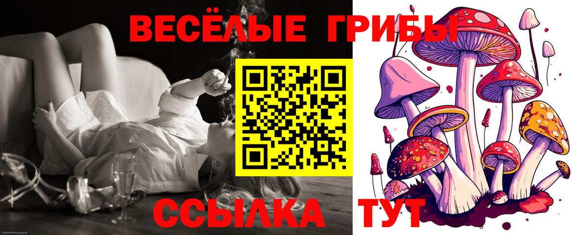 Псилоцибиновые грибы прущие грибы Павловский Посад